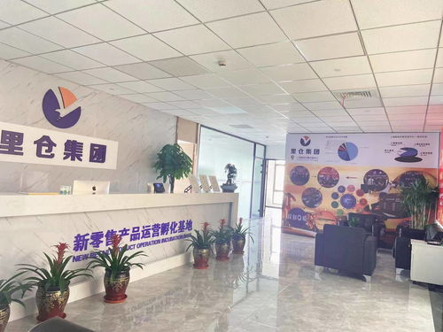 一站式投服行業(yè)服務(wù) 上海里倉科技集團的信息技術(shù)咨詢服務(wù)解析